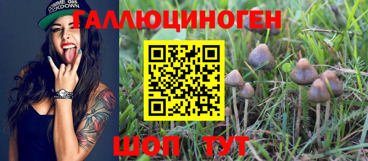 Галлюциногенные грибы ЛСД Татарск