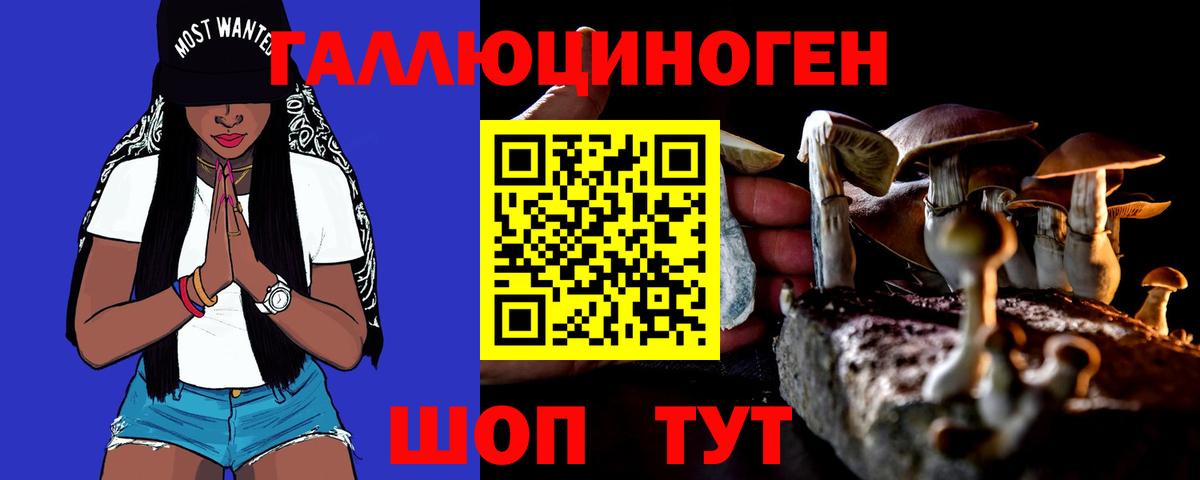 магазин    Вход с VPN  Татарск  Галлюциногенные грибы GOLDEN TEACHER 